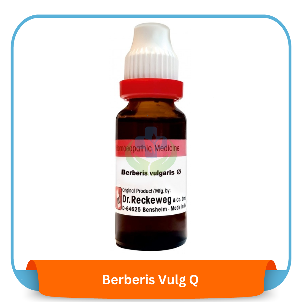 Berberis Vulg Q 20 ml | Dr. Reckeweg, Germany
