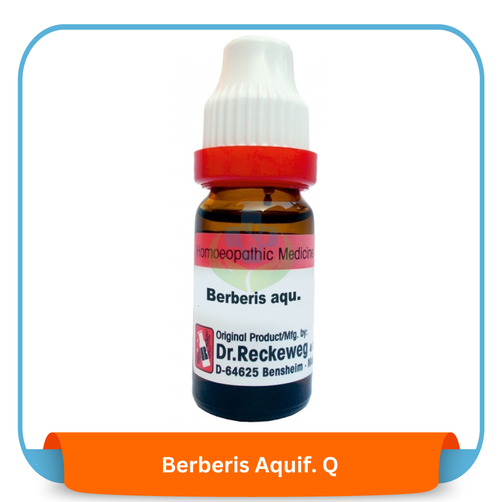 Berberis Aquif. Q 20 ml | Dr. Reckeweg, Germany