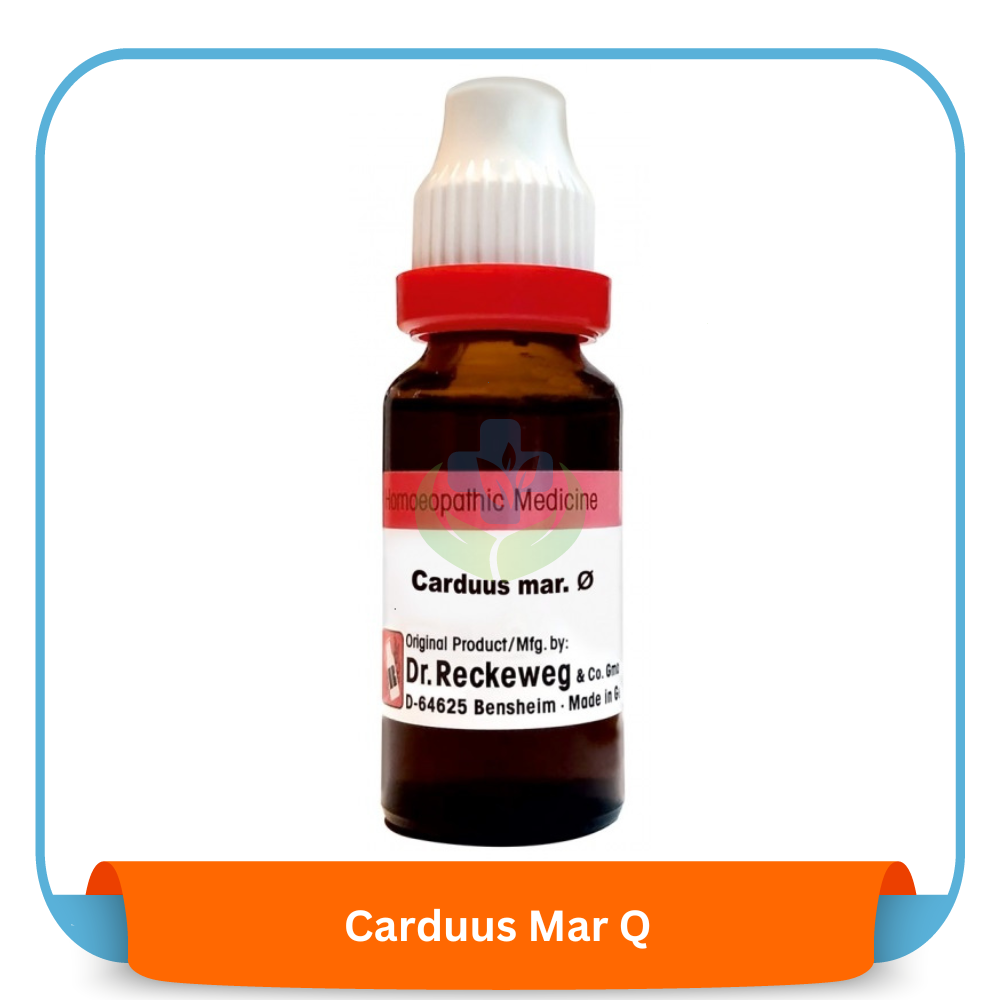 Carduus Mar Q 20 ml | Dr. Reckeweg, Germany