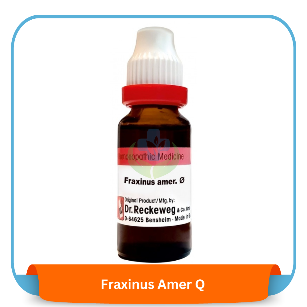 Fraxinus Amer Q 20 ml | Dr. Reckeweg, Germany