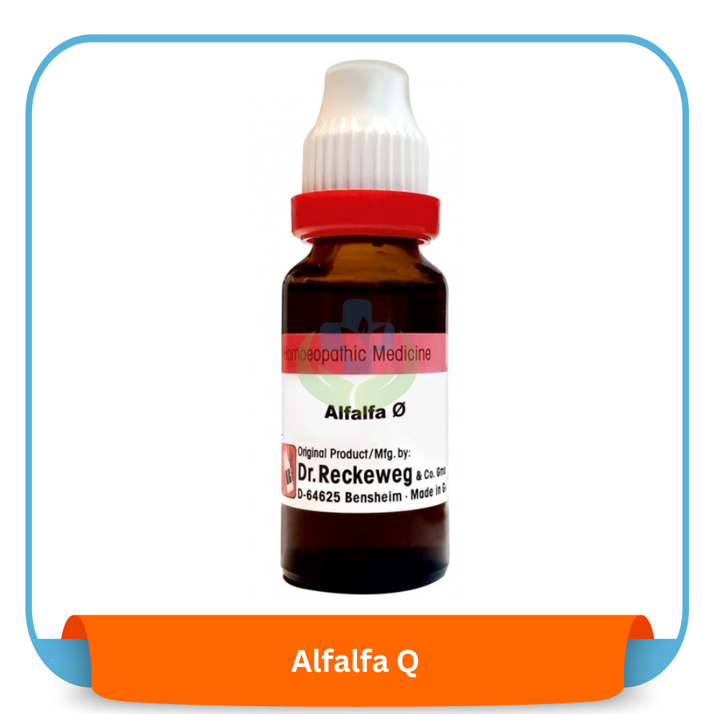 Alfalfa Q 20 ml | Dr. Reckeweg, Germany