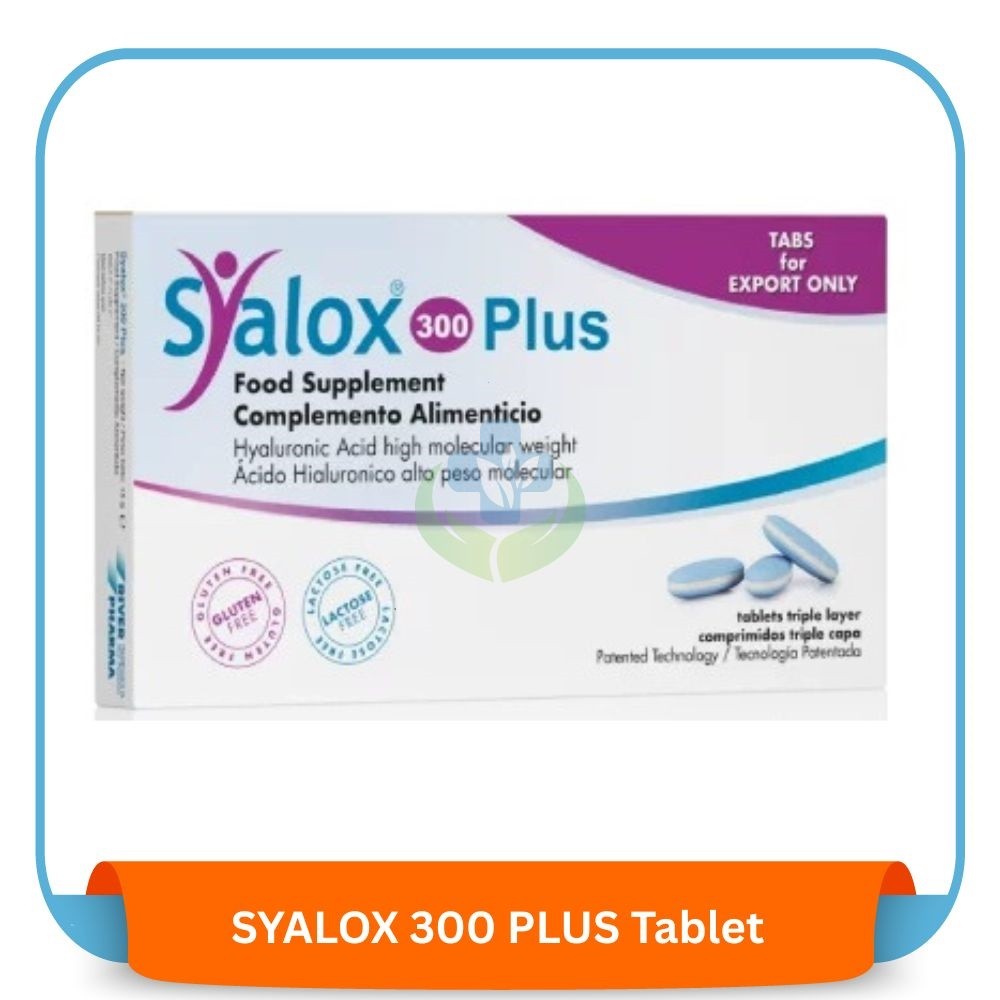 SYALOX 300 PLUS Tablet 20 pcs