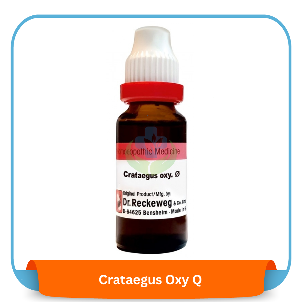 Crataegus Oxy Q 20 ml | Dr. Reckeweg, Germany