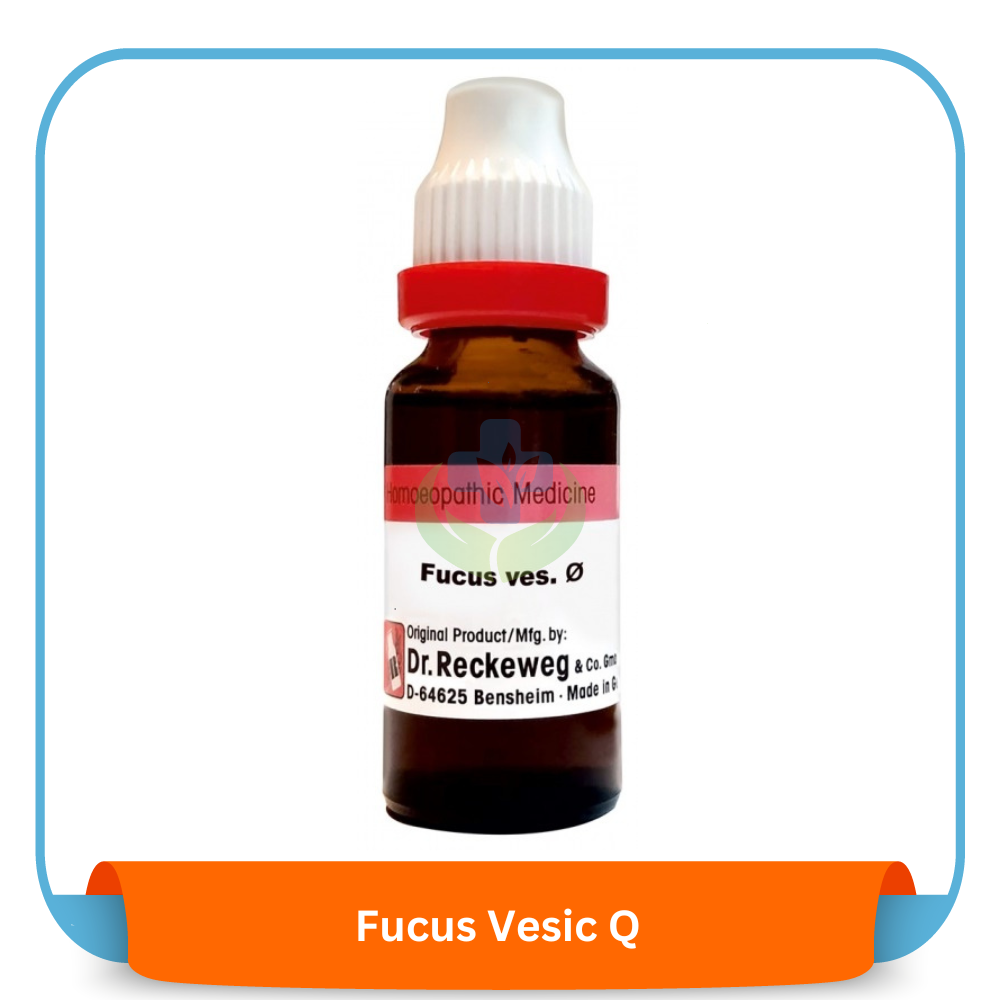 Fucus Vesic Q 20 ml | Dr. Reckeweg, Germany