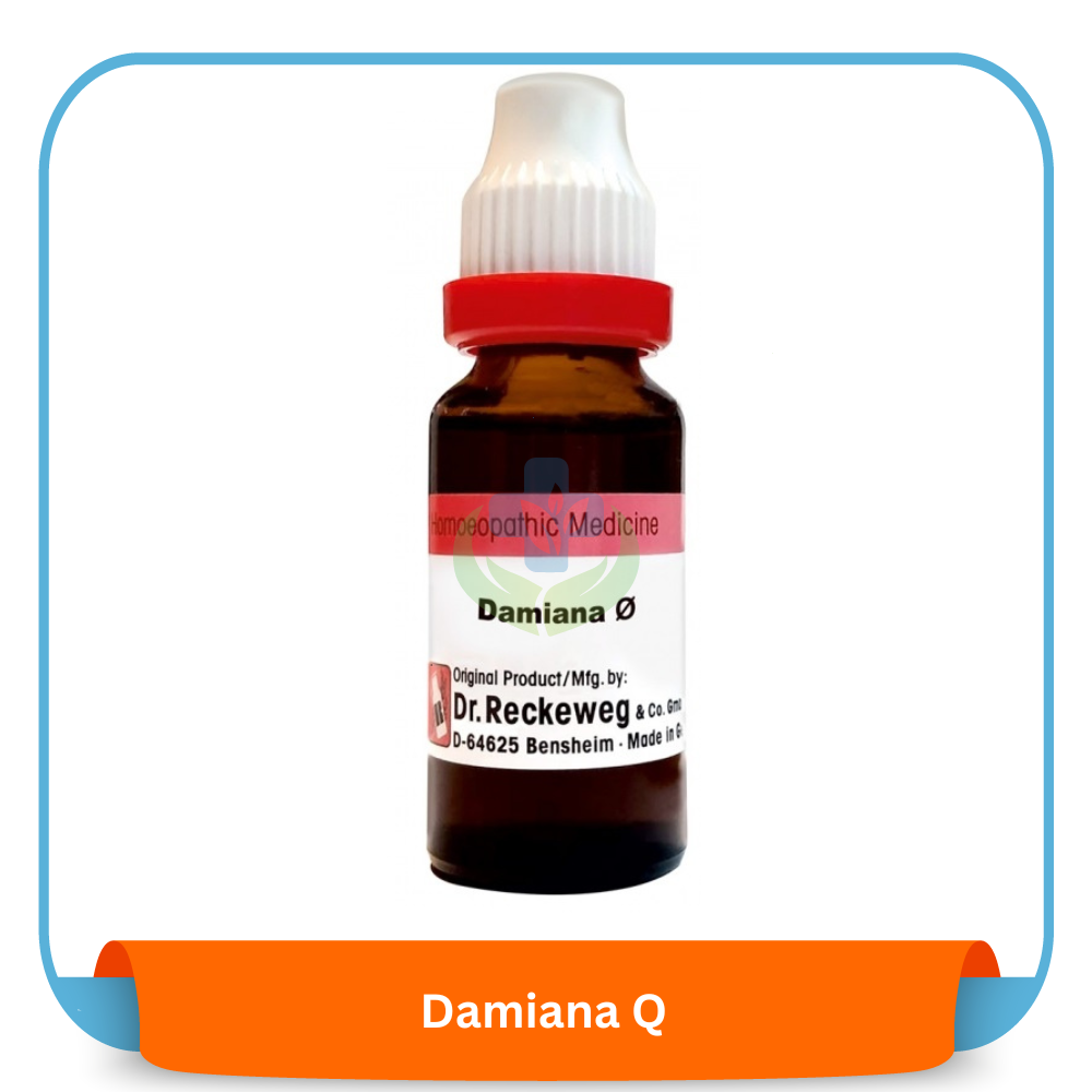 Damiana Q 20 ml | Dr. Reckeweg, Germany